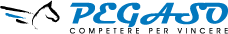 Pegaso Ingegneria Logo